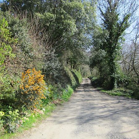 Higher Coombe Bovey Tracey Exterior foto